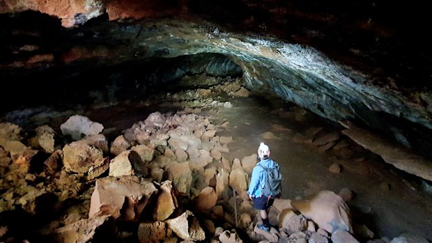 Lava caves within Queensland's Undara Volcanic National Park were a treasure trove for new insect species.  