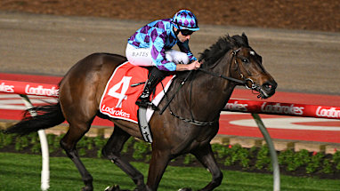 6. Pride Of Jenni (7)