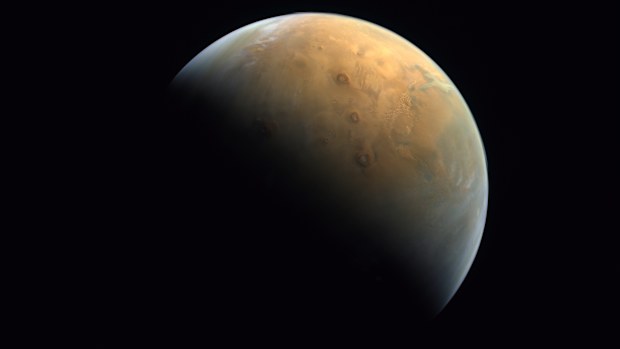 Mars meteorite found in Antarctica contains no signs of life, scientists confirm.