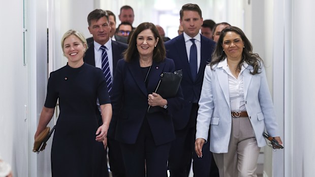 Senator Jessica Collins, Shadow Minister for Defence Angus Taylor, Senator Sarah Henderson, Member for Canning Andrew Hastie, Senator Jacinta Nampijinpa Price together with other Liberal MPs and Senators, arrive for a Liberal party room meeting, at Parliament House in Canberra on Wednesday 12 November 2025.