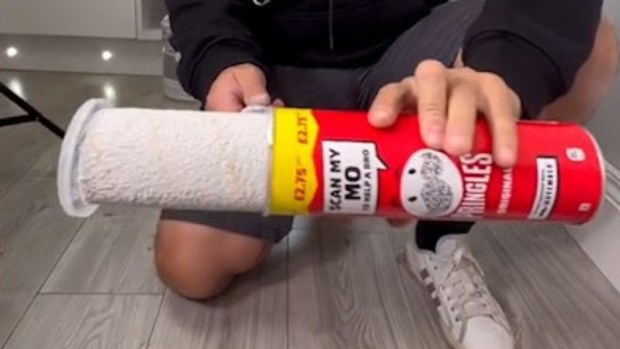 DIY guru's clever paint roller storage hack