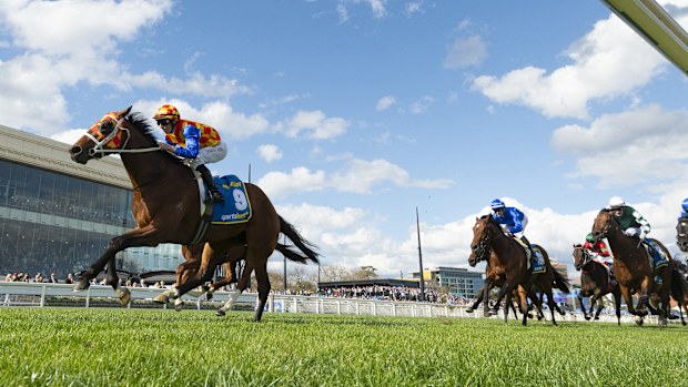 Autumn Boy, ridden by Damian Lane, wins Race 8, the Group 1 Sportsbet Caulfield Guineas.
