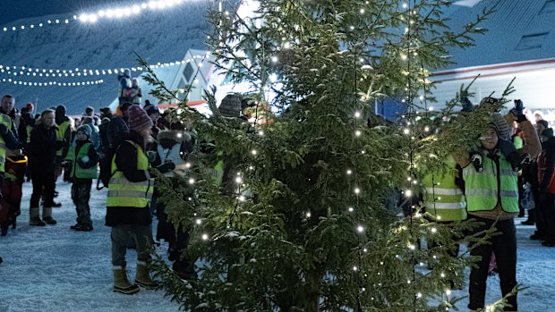 Christmas tree in the town square, which was imported from northern Norway. 