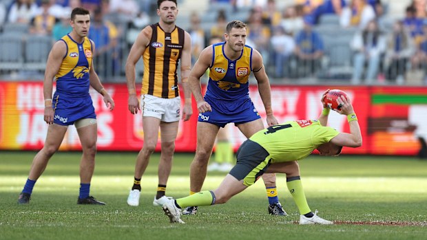 An AFL umpire in the act of bouncing the Sherrin.