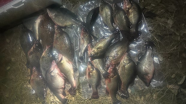 Melbourne man cops heavy fine illegally fishing