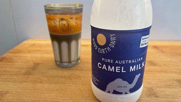 Camel milk is the new milk alternative
