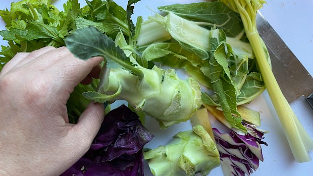 You're probably throwing away some really tasty stuff.