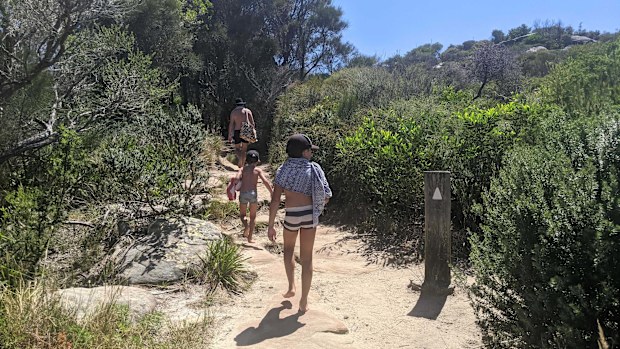 Jane's family making the most of summer holiday beach walks
