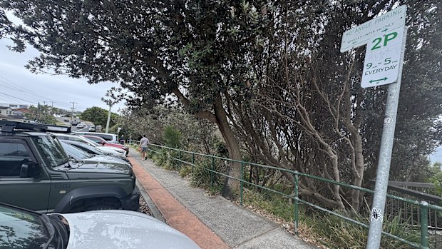 These were the only signs in the immediate vicinty of where Karina parked rear-to-kerb along Narrabeen Park Parade in Sydney's Northern Beaches.