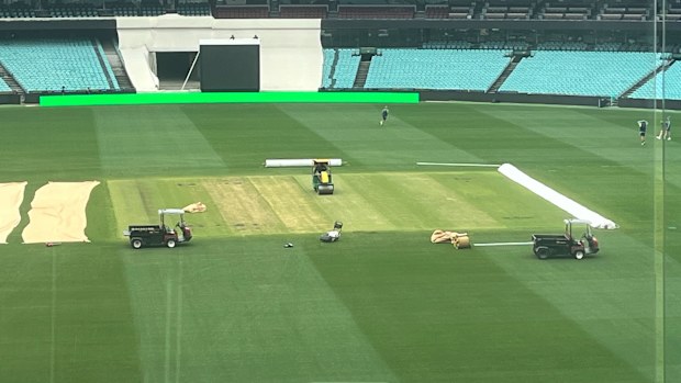 The SCG pitch on January 1st.