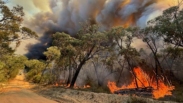 VICTORIAN BUSHFIRES: Little Desert fire - 3.2.25