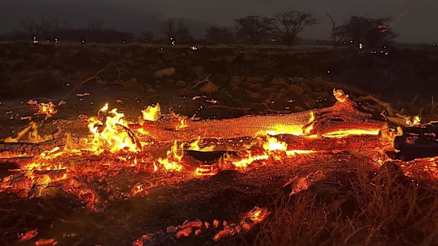 Hawaii wildfires