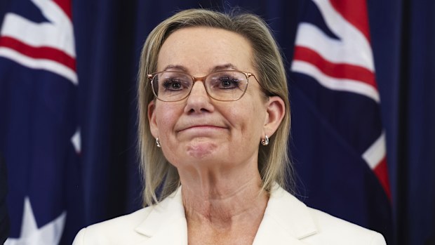 Opposition leader Sussan Ley during a press conference at Parliament House in Canberra on Thursday 13 November 2025.