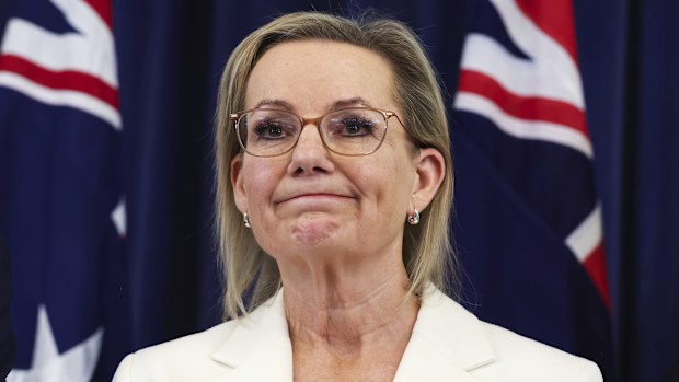 Opposition leader Sussan Ley during a press conference at Parliament House in Canberra on Thursday 13 November 2025.