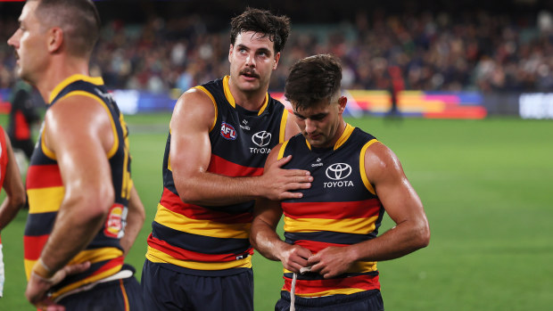 AFL News 2024: Josh Rachele, Adelaide Crows loss to Essendon, marking ...