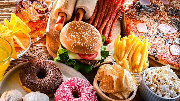 Just five days of over eating could prime the brain for future bad food habits, a European study has found.