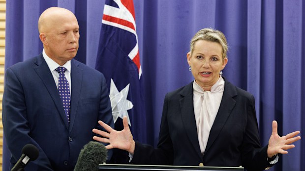 Liberal deputy leader Sussan Ley speaking at Parliament House in Canberra.