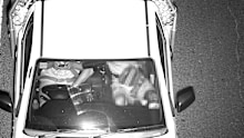 The cameras screen more than 100 million cars per year.