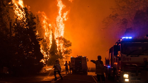 A bush fire near Bilpin, NSW during the black summer.