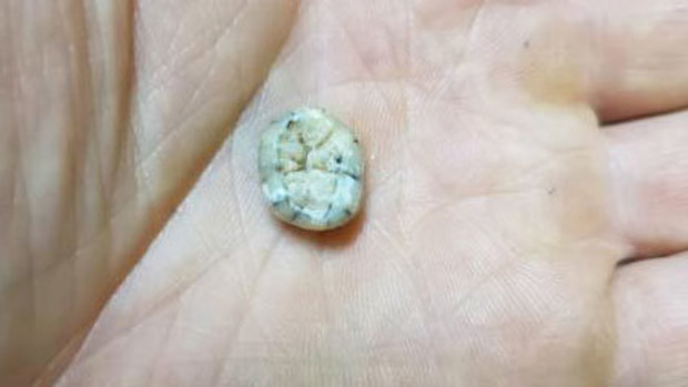 The tooth was unearthed from a cave in Laos and belonged to a woman who lived at least 131,000 year ago.