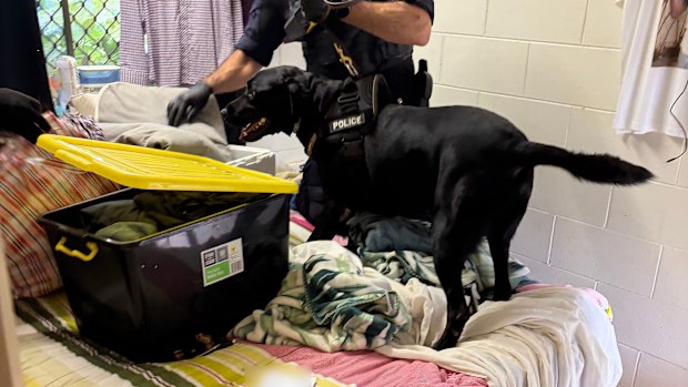 Searches were conducted across homes and businesses in Queensland last month after a lengthy investigation.