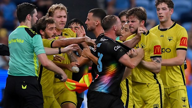 Rhyan Grant of Sydney FC and Alex Rufer of Wellington Phoenix get into a physical altercation during their round 23 A-League Men match.