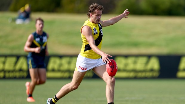 Tom McCarthy of the Tigers VFL side.