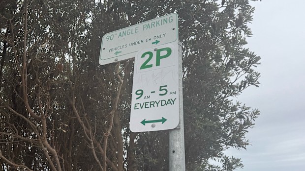These were the only signs in the immediate vicinty of where Karina parked rear-to-kerb along Narrabeen Park Parade in Sydney's Northern Beaches.