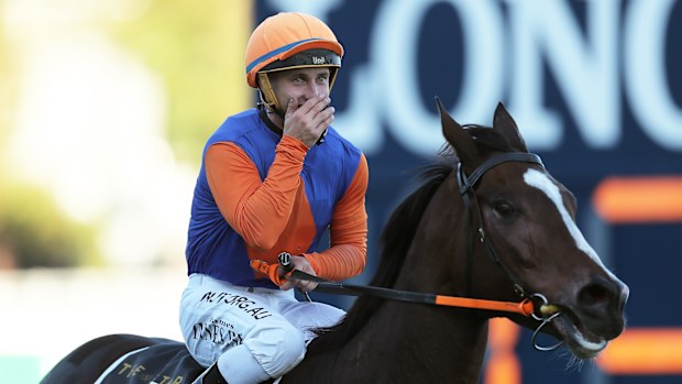 Horse racing news 2025: James Innes Jr handed 25-year suspension by ...