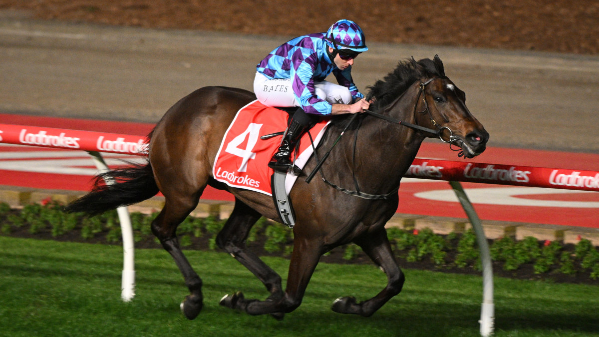 Champion horse retired after post-race dramas revealed