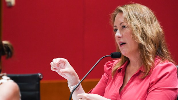 The inquiry will be chaired by Greens MP Abigail Boyd, who said she intends to bring horrifying stories into the open. 