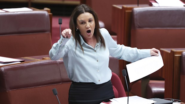 Senator Jacqui Lambie in the Senate at Parliament House in Canberra on Thursday 28 November 2024. 