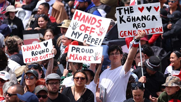 Hikoi members congregate at Parliament on November 19, 2024 in Wellington, New Zealand. A hkoi has travelled for nine days across New Zealand, culminating at Wellington and Parliament today, as Mori communities march to protect and advocate for the interpretation of the Treaty of Waitangi and Mori rights. 