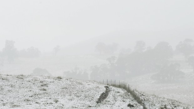 Snow covers the ground near Oberon where the temperature is 0 degrees. Oberon, NSW. 1st June, 2022. Photo: Kate Geraghty