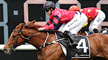 Rachel King riding  King Kirk to a win at the Breeders' Plate.