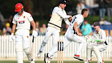 Mitch Perry celebrates after taking the wicket of Nathan McSweeney.