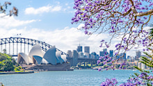 Sydney, Australia. - On November 02, 2017.  The view of Opera house from royal botanic garden with Jacaranda mimosifolia flower in the spring season.