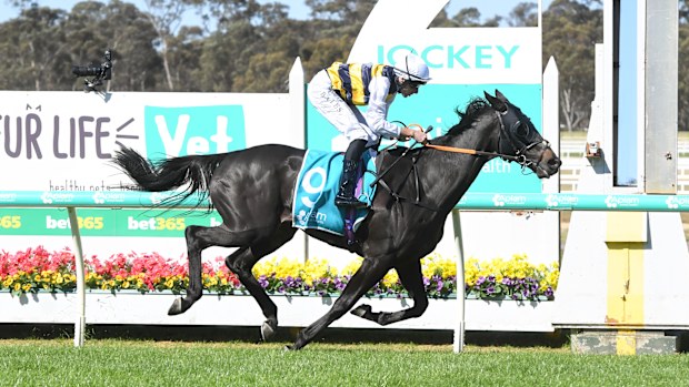 Sea King ridden by Declan Bates wins the Bendigo Cup.