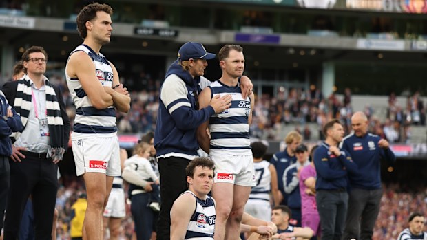 Kediler, Lions tarafından mağlup olduktan sonra bakıyor.