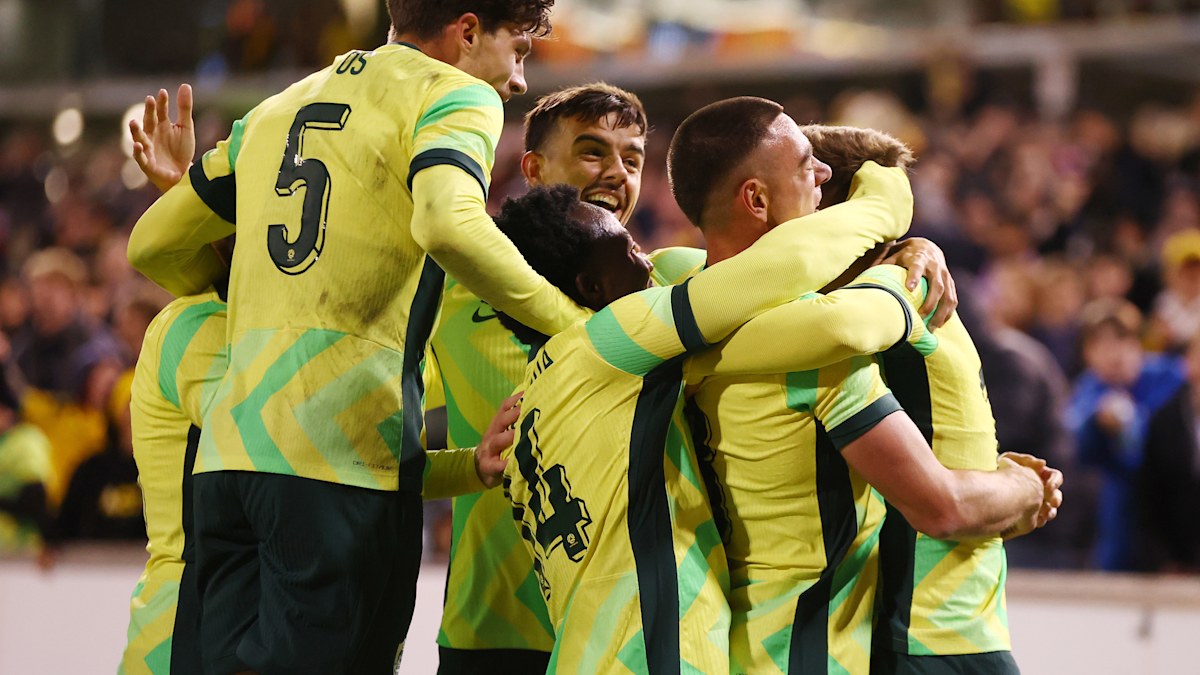 Pot luck ensures Socceroos will avoid heavyweights at World Cup