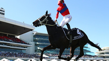 Verry Elleegant stormed home to beat hot favourite Incentivise in the 2021 Melbourne Cup.