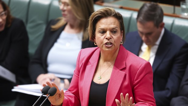 Attorney-General Michelle Rowland during Question Time at Parliament House in Canberra on Thursday 4 September 2025. fedpol Photo: Alex Ellinghausen