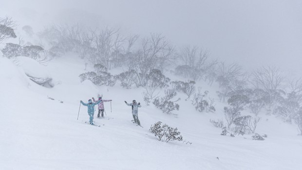 A snowstorm has delivered 48cm of fresh snow to Thredbo Resort