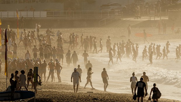 SYDNEY, AUSTRALIA - NOVEMBER 27: A packed Bondi Beach at sunrise on November 27, 2024 in Sydney, Australia. Some Australians experienced temperatures of 40 degrees plus last weekend.