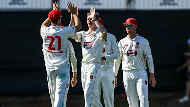 Brendan Doggett celebrates taking a wicket on day three.
