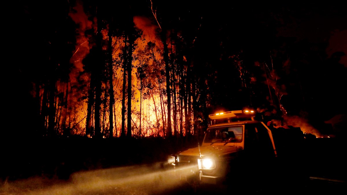 Australian bushfires: Government set to revise total number of hectares ...