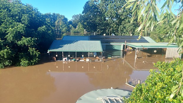A couple in Logan have been left devastated after the government backflipped its decision to buy back their property.