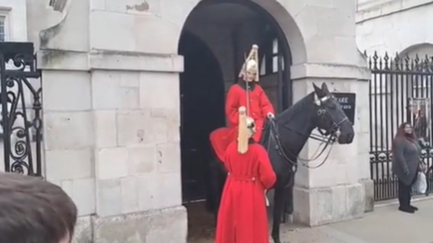King's Guard yells at tourist during photo op