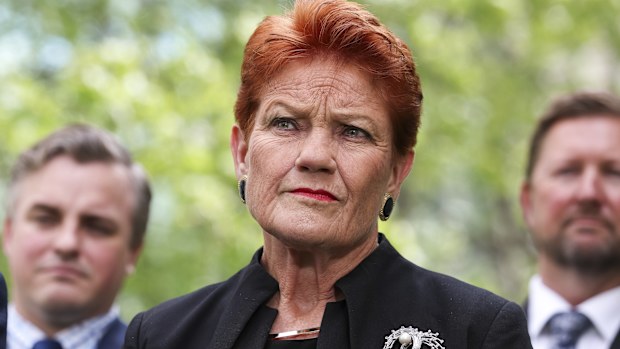 One Nation leader Senator Pauline Hanson during a press conference at Parliament House in Canberra on Monday 19 January 2026. fedpol Photo: Alex Ellinghausen