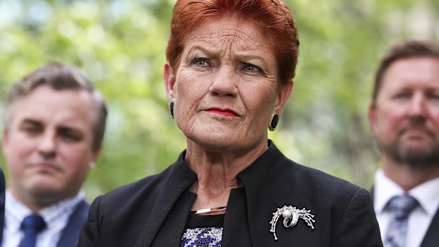 One Nation leader Senator Pauline Hanson during a press conference at Parliament House in Canberra on Monday 19 January 2026. fedpol Photo: Alex Ellinghausen